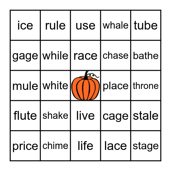 Silent e Bingo Card