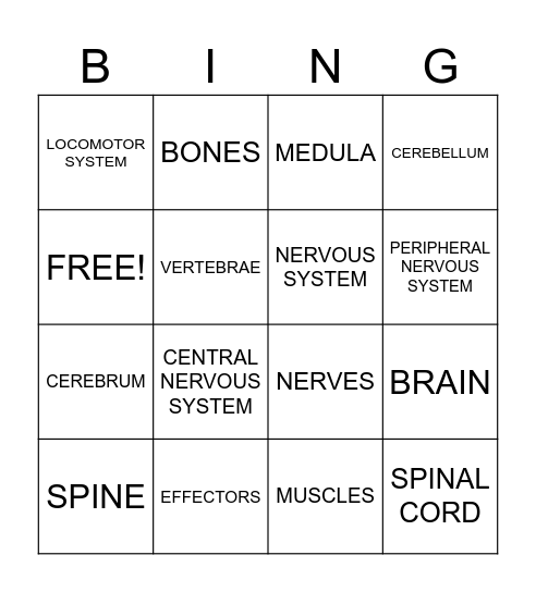 NERVOUS SYSTEM Bingo Card