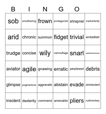 Vocabulary review Bingo Card