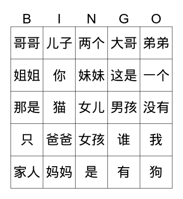 family member Bingo Card