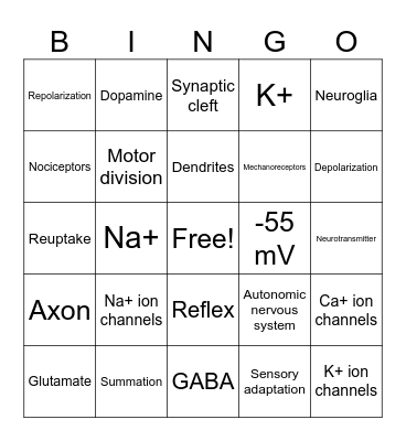 Nervous System Bingo Card