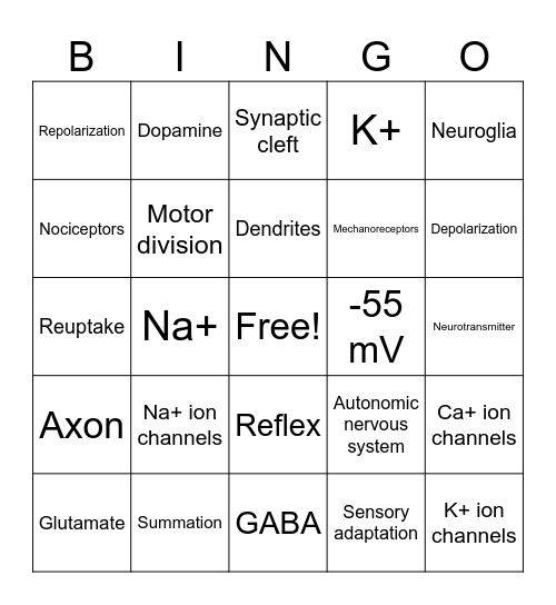 Nervous System Bingo Card