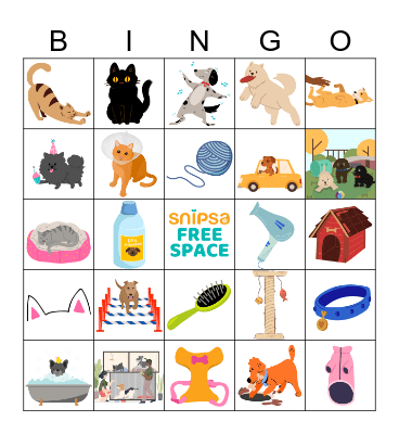 SNIPSA Bingo Card