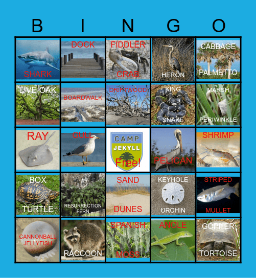 Jekyll Island BINGO Card