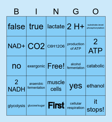 Fermentation Bingo Card