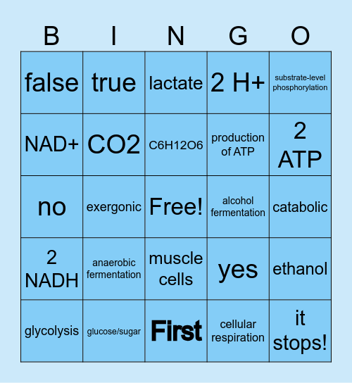 Fermentation Bingo Card