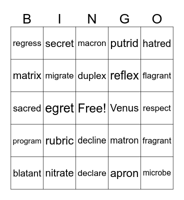 V'/CCV Bingo Card