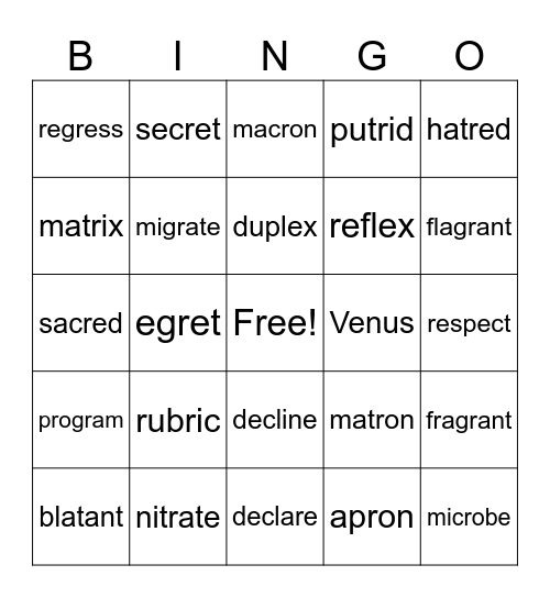 V'/CCV Bingo Card