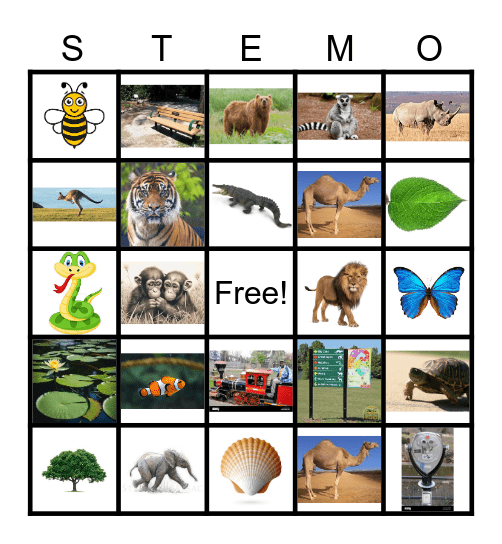 DESTINATION STEM-O Bingo Card