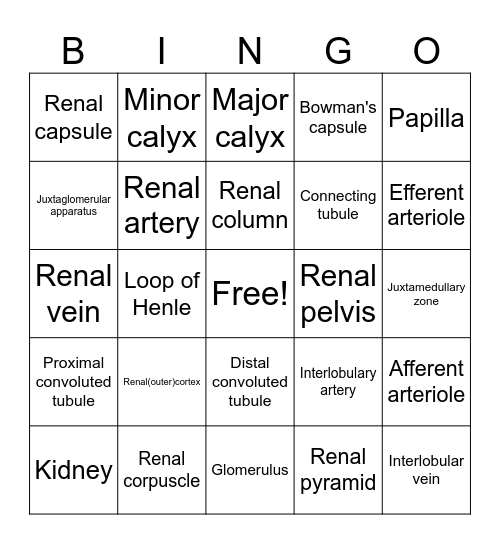 Nephron Function Bingo Card