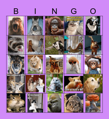 Funny Animals Bingo Card