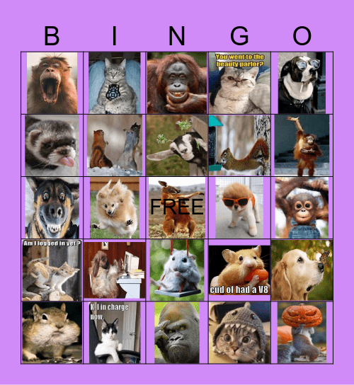 Funny Animals Bingo Card
