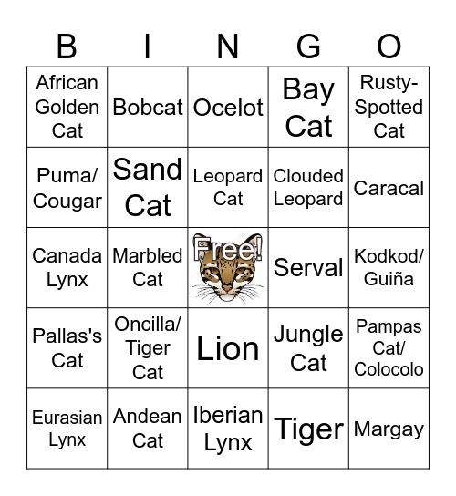 Wild Cats Bingo Card