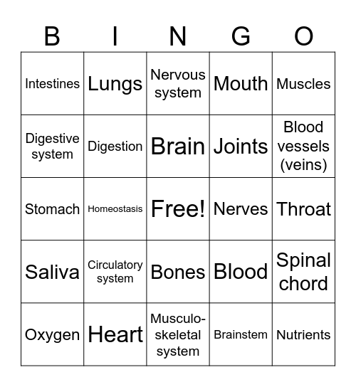 Body Systems Bingo Card