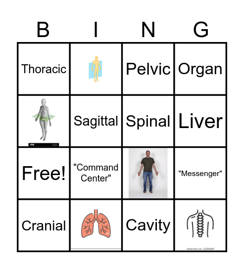 Planes, Cavities and Regions Bingo Card