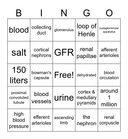 Nephron Function Bingo Card