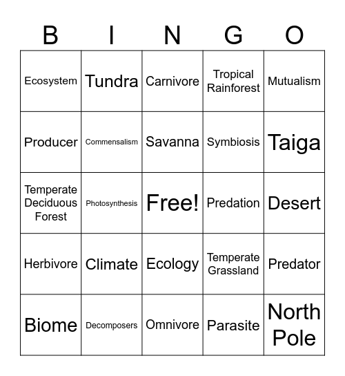 Biomes Bingo Card