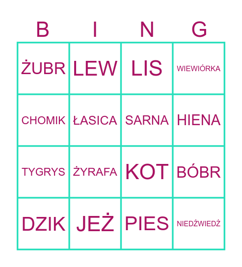 Ssaki Bingo Card