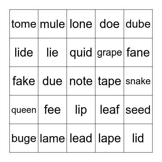 Mixed Silent E Bingo Card