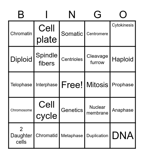 Cell Cycle Bingo Card