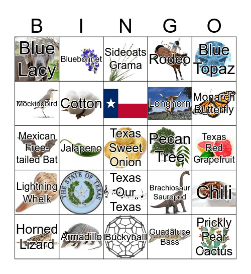 Texas Bingo Card