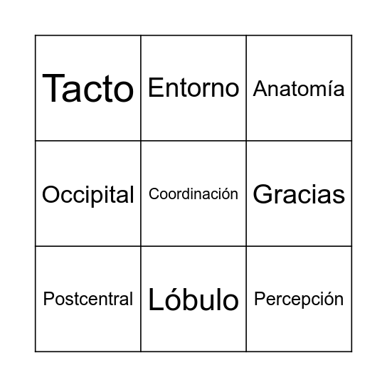 Glóbulo parietal Bingo Card