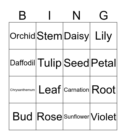 BB10 Unit 2 Bingo Card