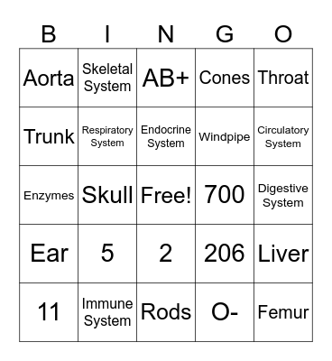 Human Body Bingo Card