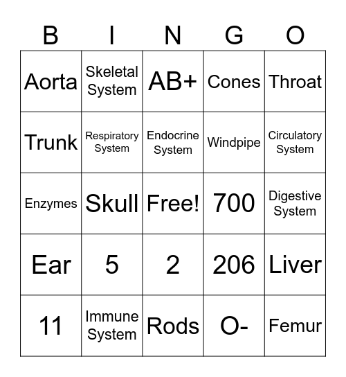 Human Body Bingo Card