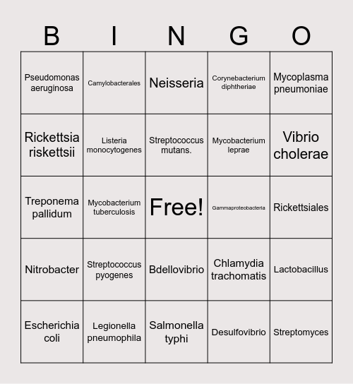 Bacterial Bingo! Bingo Card