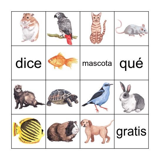 Las Mascotas Bingo Card