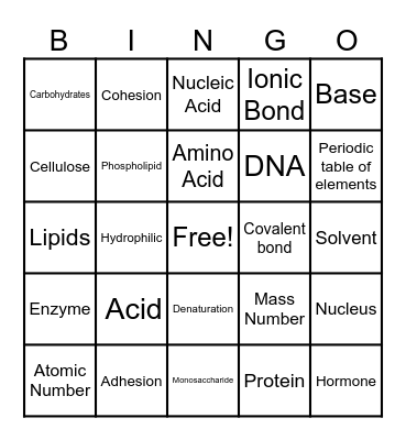 BIOLOGY 2 Bingo Card