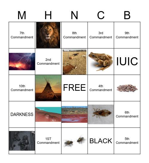 ROLLE Bingo Card