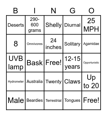 Beardie Bingo Card