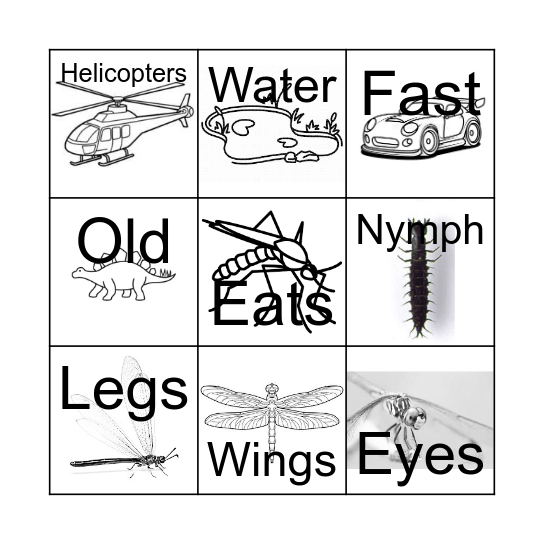 Dragonfly Bingo Card