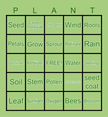 Plants Bingo Card