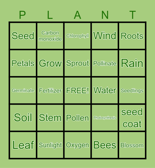 Plants Bingo Card