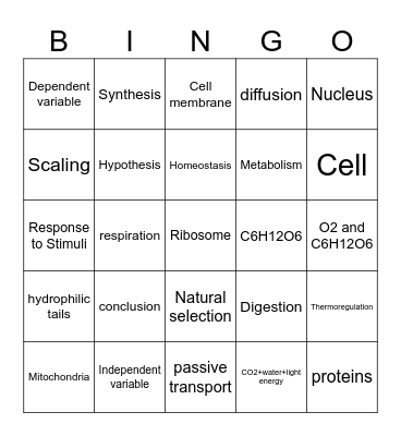 Test Bingo Card