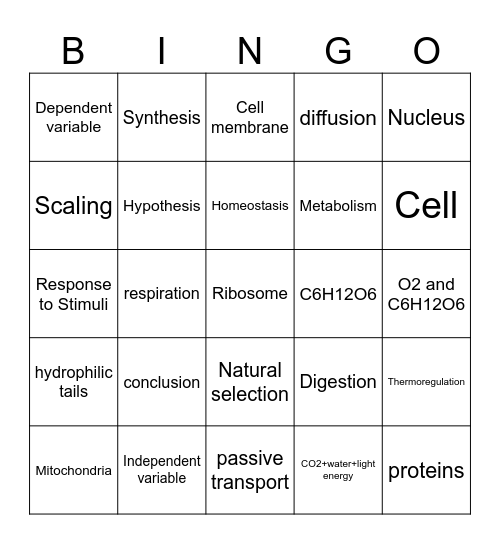 Test Bingo Card