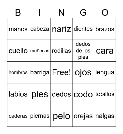 Partes del Cuerpo Bingo Card