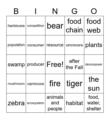 Faith 3rd Grade Ecosystems Bingo Card