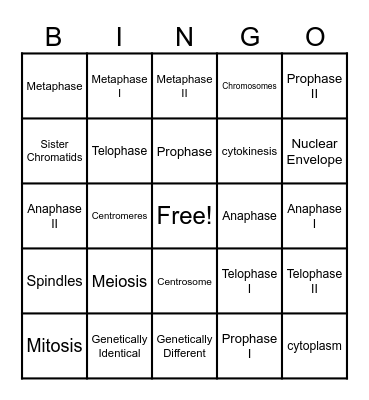 Cell Division Bingo! Bingo Card