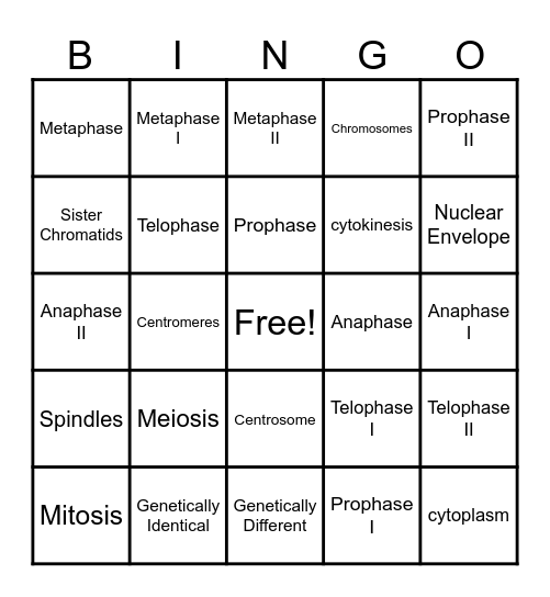 Cell Division Bingo! Bingo Card