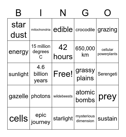 Our Universe - Chasing Starlight Bingo Card