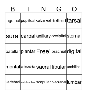 ANATOMY BINGO Card