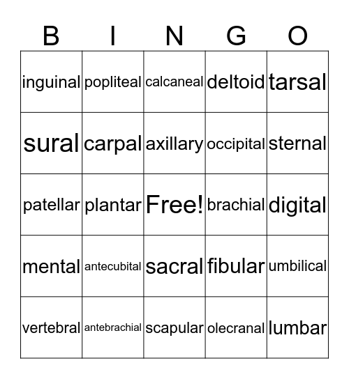 ANATOMY BINGO Card