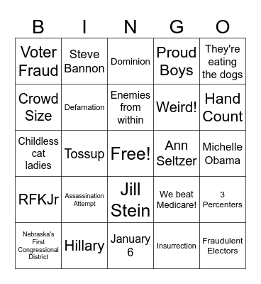 Election Craziness Bingo Card