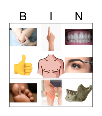 Parts of the Body Bingo Card