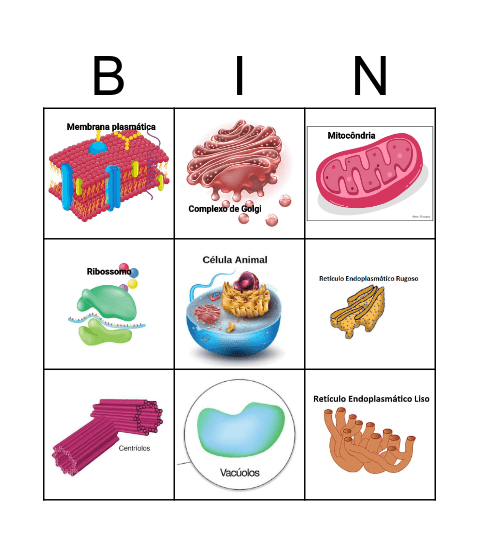 Bingo Celular Bingo Card