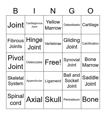 Skeletal System Bingo Card